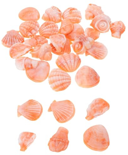 Parliky 30 Pièces Décorations De Coquillages en Résine Remplisseur De Bol Côtier Décor De Thème De Plage De Mariage Miniatures De Coquilles De Conques Petites Coquilles De Conques Orange