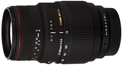 Sigma 70-300mm f4-5.6 APO Macro DG Lens For Pentax Digital & Film SLR Cameras