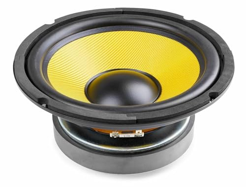 FENTON WK20 Altavoz Woofer de 20 cm / 8 Pulgadas, con Cono Kevlar, 500 Vatios, 250 Vatios RMS, Impedancia 8 Ohmios, Recambio Altavoz Coche, Repuesto Woofer para Altavoz Hi-Fi