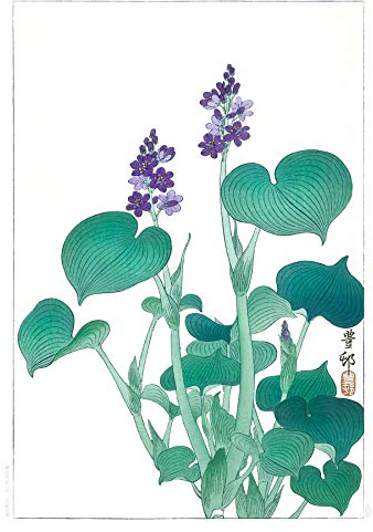 Wee Blue Coo Blooming Hosta Ohara Koson Large Wall Art Print Canvas Premium Poster