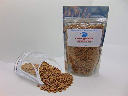 Green Lentil Seeds for Sprouting Microgreens,4 oz A Rich Source of Vitamins and Minerals and Health-Promoting Nutrients! COOL BEANS N SPROUTS Brand, A Small Town Family Run USA Business.