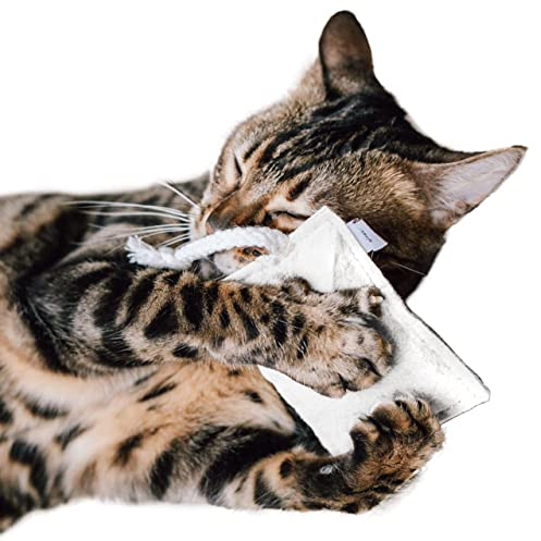 CanadianCat Company | nachhaltiges Katzenspielzeug Schmusekissen mit Seil mit 5g Katzenminze | Faire Handarbeit für Deine Katze | Knuddelkissen für Katzen mit Premium Füllung