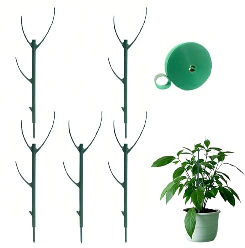 supporto per piante,bastone per piante,palo per piante rampicanti,regolabili per piante di Monstera,pali per piantes rampicanti in vaso,Pothos,viti,fiori.