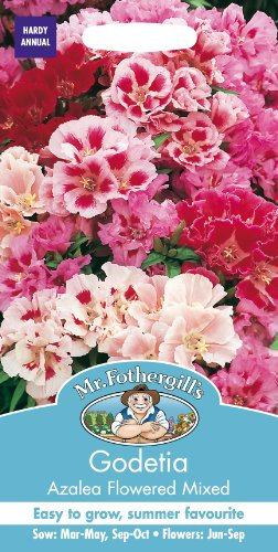 Mr Fothergill?s Seeds Ltd 22154 Seeds, GODETIA Azalea Flowered Mixed