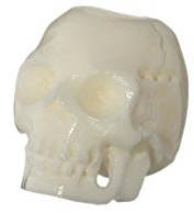 NKlaus Haarschmuck Bartperle CHEREP Kleiner Totenkopf Knochen Lockenperle 6435