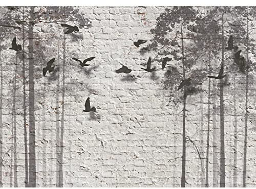 Runa Art Papel tapiz fotográfico muro de piedra abstracta 352 x 250 cm Lana Fondo De Pantalla XXL Moderna Decoración De Pared Sala Cuarto Oficina Salón Negro y blanco 9104011b