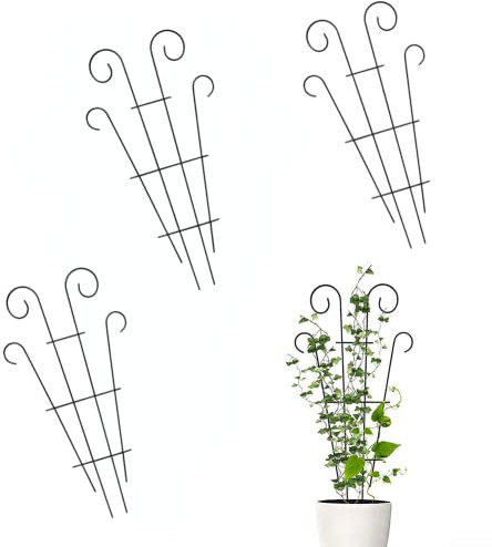 DAZZLEEX Lot de 3 supports pour plantes, support pour plantes de jardin, supports pour plantes grimpantes, treillis d'escalade, cage à fleurs