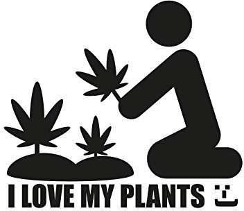 Plott Aufkleber I Love My Plants Cannabis Marijuana Sticker Pflanzen Liebe