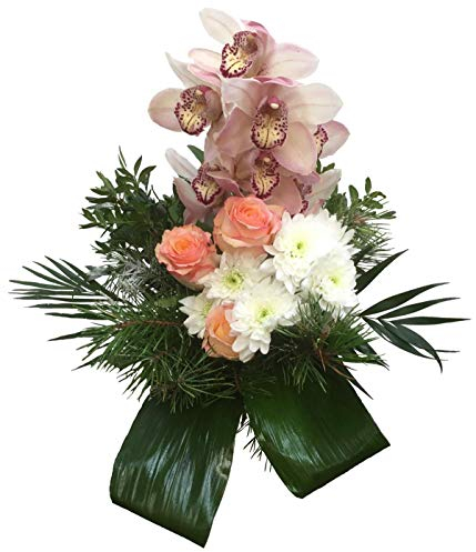 Blumenstrauß Orchidee Blumenversand inkl. kostenloser Glückwunschkarte
