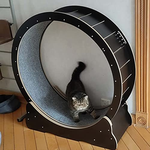Katzenlaufrad, Katzenlaufrad aus Holz, Robustes Katzenlaufband in Schwarz, kleines/mittleres/großes Katzenlaufrad-Trainingsgerät für das Wohnzimmer im Innenbereich (Größe: 110 cm/43,3 Zoll)