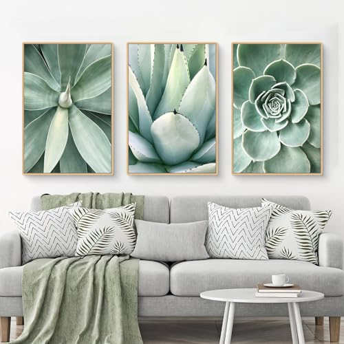 Uixxducc 3er Set Premium Poster Set, Bilder Set Pflanzen Blätter Kaktus, Moderne Grüne Pflanzen Wandbilder Wandeko für Wohnzimmer Schlafzimmer, ohne Bilderrahmen (ABC,40x50cm)