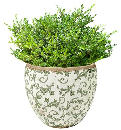 Dibor Ceramic Plant Pots Floral Print Vintage Style Planter (Green, Large) | Flower Pot, Distressed Effect, Jardinere Planter, Living Room, Kitchen, Succulent Cacti, Herb, Botanical Print