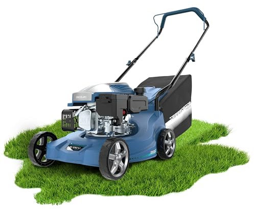 Cecotec Tagliaerba a Benzina Terrenator 2700.39 Power. Motore 127cc, 2,1kW e 2,8CV, Funzione Taglio e Raccolta, Larghezza Taglio 39cm, Altezza Taglio Regolabile in 3 Posizioni, Serbatoio 0,8L