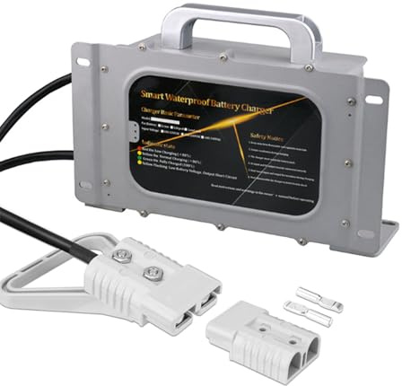 HYDTGZ Chargeur de Batterie pour Chariot Élévateur 24 V 30 A Étanche Intelligent et Entièrement Automatique pour Transpalettes, Autolaveuses et Voiturettes de Golf,Argent