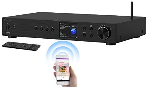 VR-Radio WLAN Radio: Digitaler WLAN-HiFi-Tuner, Internetradio, DAB+, Bluetooth, schwarz (DAB Receiver, DAB Radio mit Cinch Ausgang, Kopfhörer Adapter)