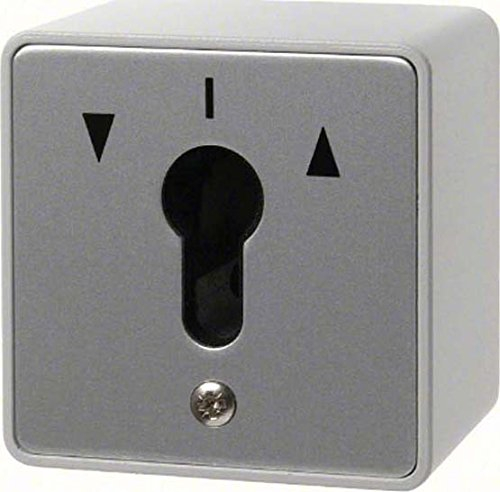 SCHLUESSEL-SCHALTER 2POL. BERKER 4447