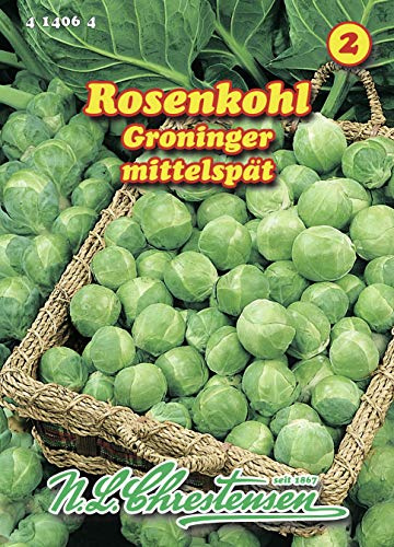 Rosenkohl Groninger mittelspät