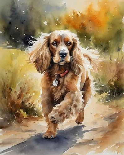 ZMHZMY DIY Malen nach Zahlen für Erwachsene Cocker Spaniel läuft auf Feldern DIY Ölgemälde von Numbers Kit Craft DIY Farbe auf Leinwand rahmenlose Landschaft, 40 x 50 cm, ohne Rahmen