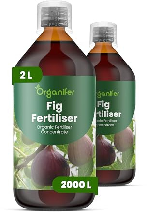 Engrais liquide organique 2x1L pour Figuier – stimule racines et floraison – Organifer