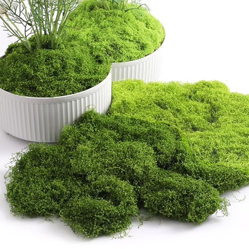 ZYNERY 160 g Kunstmoos zum Dekorieren, Dunkelgrün & Hellgrün Künstliches Moos zum Basteln, Kunst Moos Deko Basteln, Islandmoos Bastelmoos Dekomoos für Krippe Modellbau Aquarium Wand Miniatur Modellbau