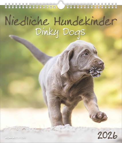 Alpha Edition - Niedliche Hundekinder Kalender 2026 – Wandkalender 30×34 cm mit 12 Welpenmotiven & 4-sprachigem Kalendarium, Tierkalender mit ... Geschenk für Hundefreunde: Dinky Dogs