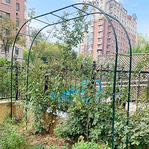 sjdoPulse Metal Garden Arch Heavy Duty Arbor Trellis Wide 120cm 140cm 160cm 180cm 200cm 240cm 280cm 350cm Wedding Rose Arch Decoration Balloon Support Rack,W120*H220cm