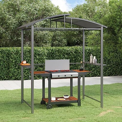 Qnhdfrt Grillpavillon Anthrazit 210 x 114 x 230 cm mit Seitenregalen und Hängestangen aus Stahl und PC-Platten für Garten Camping und Outdoor-Partys