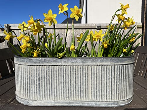 Galvanised Zinc Ribbed Metal 44cm Pot Planter | Round Oval Garden Flower Plant Pot Metal Steel Trough Vintage Antique S