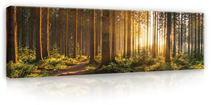 WallArena - Impression sur toile - Skog, 145 x 45 cm - Tableau decoration murale - Tableau mural XXL grand format pour salon, chambre à coucher - Impression artistique - Solen