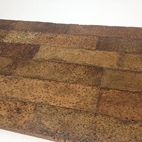 EKB-Kork Rückwand Kamari Zierkork für Terrarien (Korsika 600 x 300 mm)