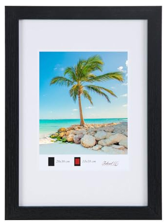Holz Bilderrahmen Plexi Lifestyle Foto Rahmen Collage Wanddeko Poster HR25: Farbe: Schwarz | Format: 40x50