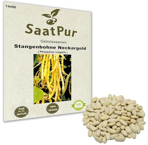 50g Stangenbohne Neckargold - gelbe Wachsbohne - ertragreiche Bohne