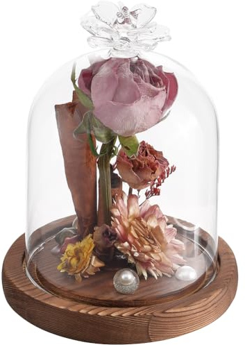 SUNNYCLUE Cúpula de Exhibición de Vidrio Tarro de Campana de Vidrio de 92x132 mm con Base de Madera Cúpulas de Campana de Vidrio Transparente Cúpula de Vidrio Pequeña Frascos Decorativos Vitrina para