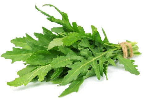 Salad Plants, Rocket, 6 x Plug Plant Pack, Garden Salads, Grow Your Own, Rocket Plants, Lettuce, Garden Ready and Ready to Plant, Premium Quality Salads