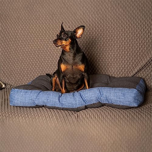 Cuscino per cani rettangolare, Lettino per cani e gatti - S - 70x50cm - MADE IN ITALY - Morbido cuscino bicolore con elegante bottonatura, Perfetto per Animali Domestici, Modello Baggy - MiaFur