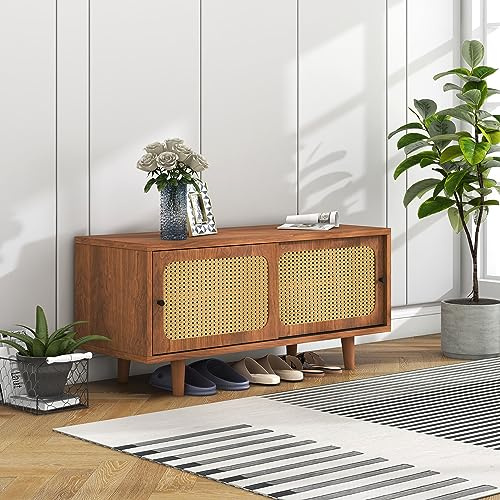 Goeria Zapatero de ratán con 2 puertas con estante ajustable, color nogal, elegante zapatero para pasillo, salón y dormitorio, 104 x 40 x 48 cm