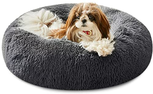 Western Home Hundebett Run, Katzenbett Flauschig, Hundekissen Kleine Hunde,Hundebett Waschbar,Hundekorb,Katzenkorb Zum Schlafen 50 cm,Dunkelgrau