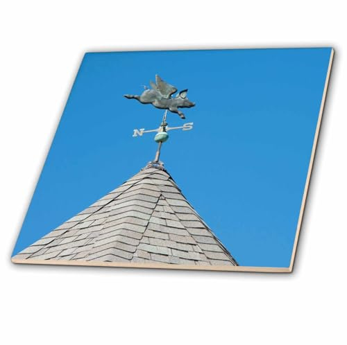 3dRose USA, Michigan, Mackinac Island. When Pigs Fly Rooftop weathervane. 12 Inch Ceramic Tile