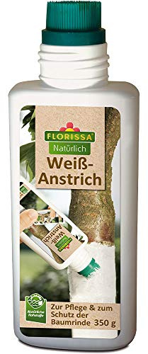 Florissa Natürlich Weißanstrich | natürliche Rohstoffe | Rindenschutz zum Weißen und Pflegen von Bäumen und Sträuchern | 350g Pinselflasche