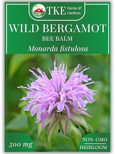 TKE Farms & Gardens - Wild Bergamot Bee Balm Seeds, 1000+ Heirloom Non-GMO Perennial Herb Seeds for Indoor/Outdoor Gardens, Attracts Butterflies & Pollinators, Monarda fistulosa