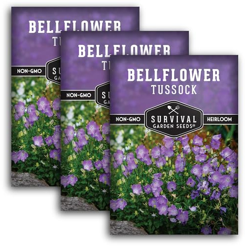 Survival Garden Seeds Tussock Bellflower Seed for Planting - 3 Packets with Instructions to Plant and Grow Campanula carpatica in Your Home Flower Garden - Non-GMO Heirloom