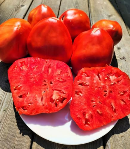Tomato Polish plum t Svarlo 10 PCS fresh seeds, Tomato seeds, Vegetable seeds, Organic seeds, Heirloom tomato, Non GMO