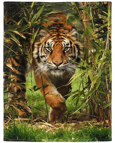 YISUMEI - 150 x 200 cm Decke - Heftiger Tiger Fleecedecke,Kaschmir-Gefühl Kuscheldecke Geeignet für Bett oder Sofa