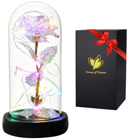 Cadeau Fete des Meres Roses eternels La Belle et la Bête Élégant Dôme en Verre avec Lumières LED Pine Base, Magic Décor Cadeaux pour Saint Valentin Fête Anniversaire Mariage Rose