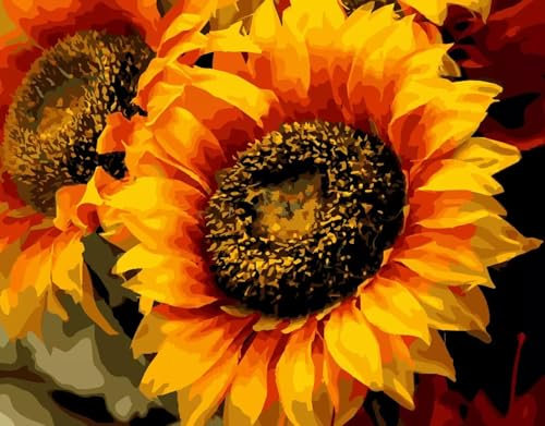 Aimaor Malen Nach Zahlen Erwachsene,Blume Sonnenblume Paint by Numbers Adult Bastelset Malen-Nach-Zahlen Kinder Anfänger Leinwand Kreativ Set DIY Set Malen nach Zahlen（DIY Frame） 50x65cm