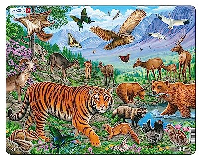 Larsen Puzzles FH39 Kinder Rahmenpuzzle Amur Tiger im sibirischen Sommer, 36 Teile, ab 3 Jahre, Lernspielzeug, Konzentration, Spielspaß