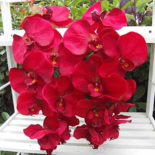 Kunstblumen, Phalaenopsis-Orchidee, groß, 93 cm, 8 Stück