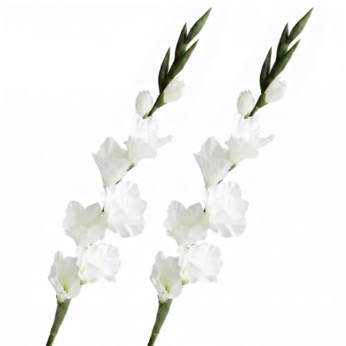 Uanqfegy 2PCS White Faux Flowers Indoor, 33 Inch Gladiolus Artificial Flowers with Stems for Home Wedding Garden Arrangement Decor