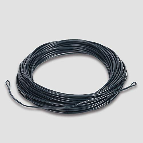 MAXIMUMCATCH Maxcatch Shooting Head Fly Fishing Line Floating/Sinking 30FT with 2 Welded Loops (Seablue Sinking Line, SH8S)