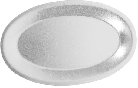 Ciieeo Edelstahl Servierplatte Essteller Tragbar Für Abendessen Picknick Camping Frühstück Teller Obst Steaks Snacks Sandwiches Desserts Haus Restaurant Bar Ktv